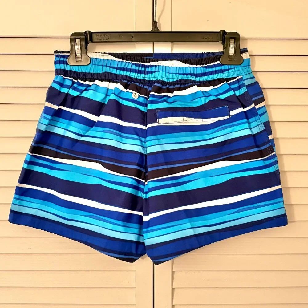 2xist Blue Striped Swim Shorts